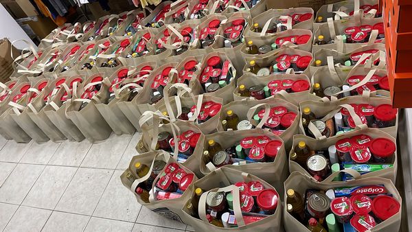 Rows of food packages prepared for distribution